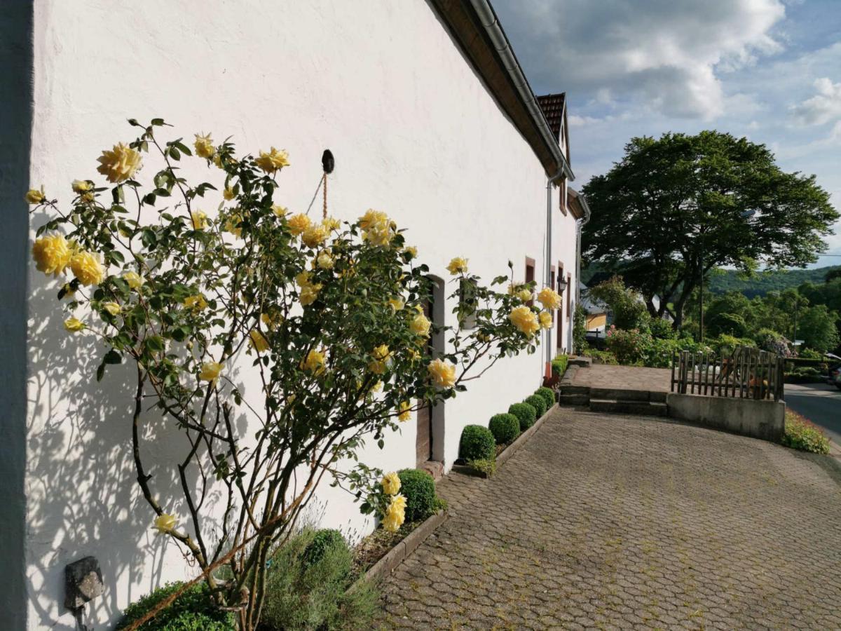 Ferienhaus Vulkaneifel Landhaus Loogh Kerpen  Exterior foto